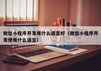 微信小程序开发用什么语言好（微信小程序开发使用什么语言）