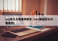 seo优化方案案例新手（seo整站优化方案案例）