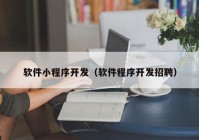 软件小程序开发（软件程序开发招聘）