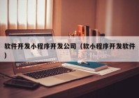 软件开发小程序开发公司（软小程序开发软件）