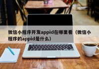 微信小程序开发appid在哪里看（微信小程序的appid是什么）