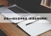 武清seo优化咨询电话（武清在线招聘网）