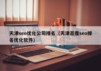 天津seo优化公司排名（天津百度seo排名优化软件）